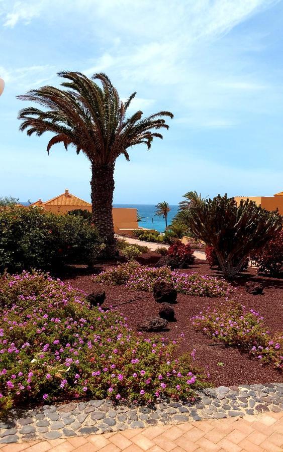 Grani Mar Appartement Costa Calma Buitenkant foto
